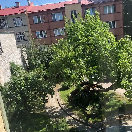 Allika 아파트 탈린